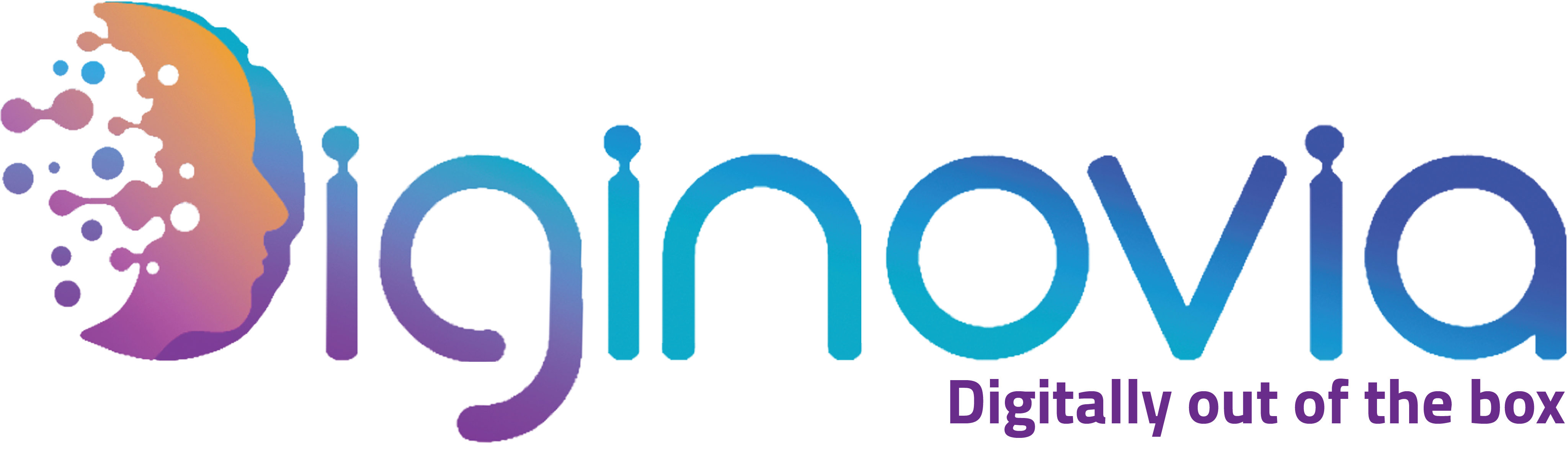 Diginovia Logo